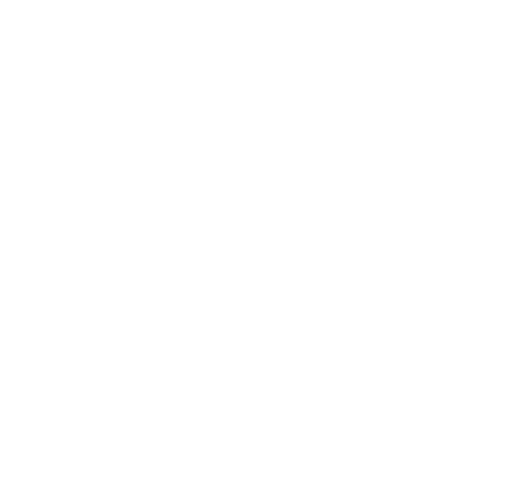 Navionix Icon